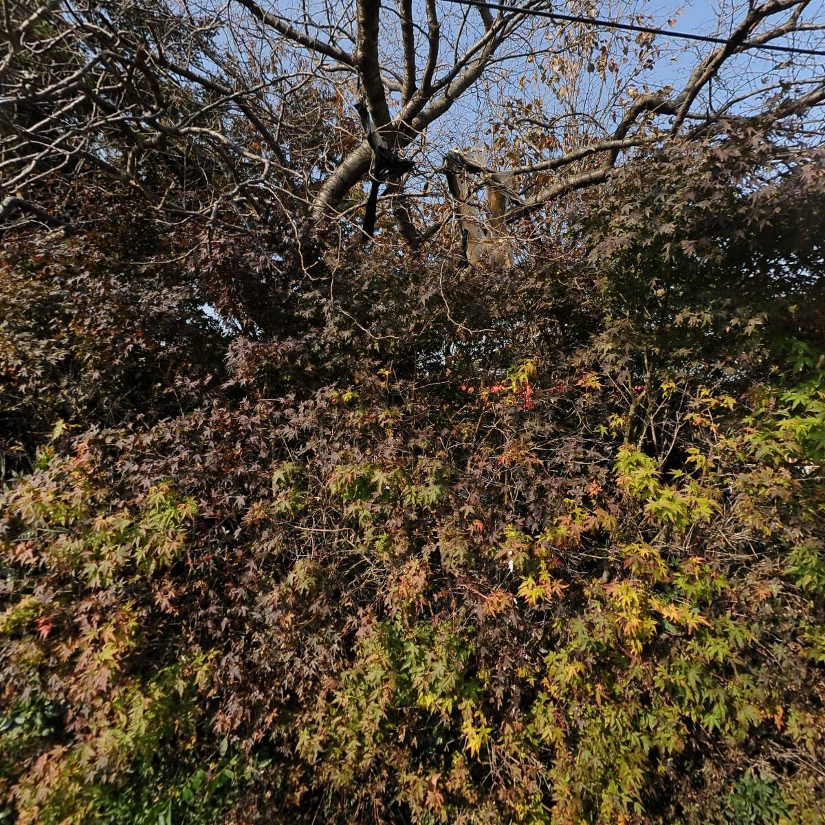 임권철 발전소_3