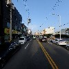 김동물병원_2