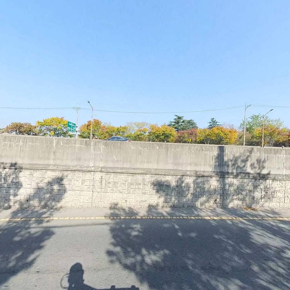 바파바로_3