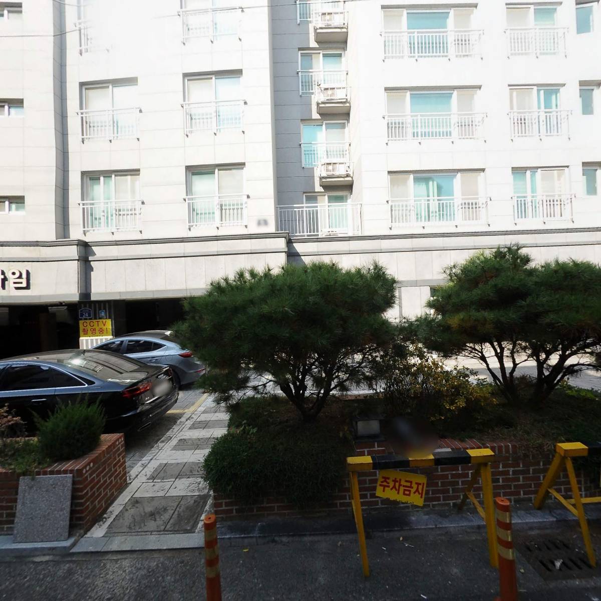 이게볶음밥경산점