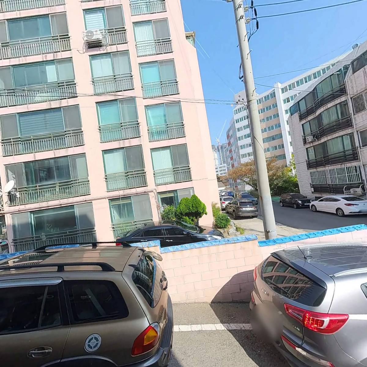 경자육