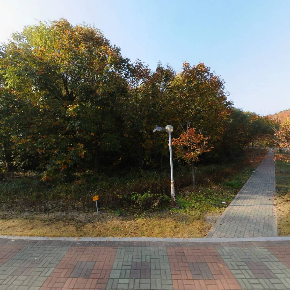 신도안면 주민자치회