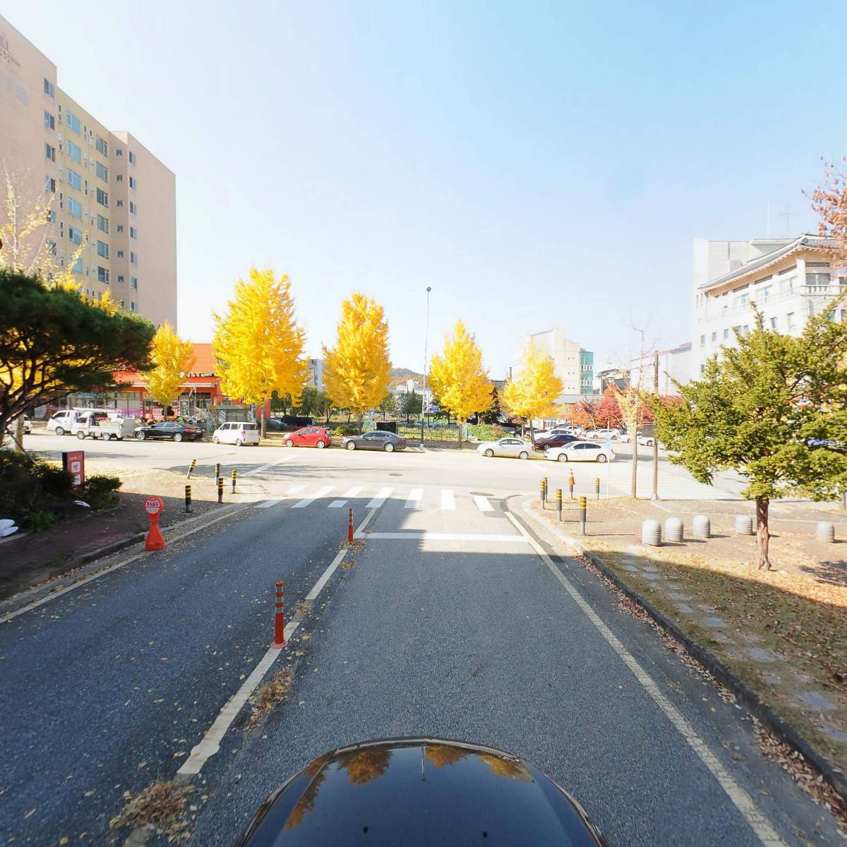그라지애_4