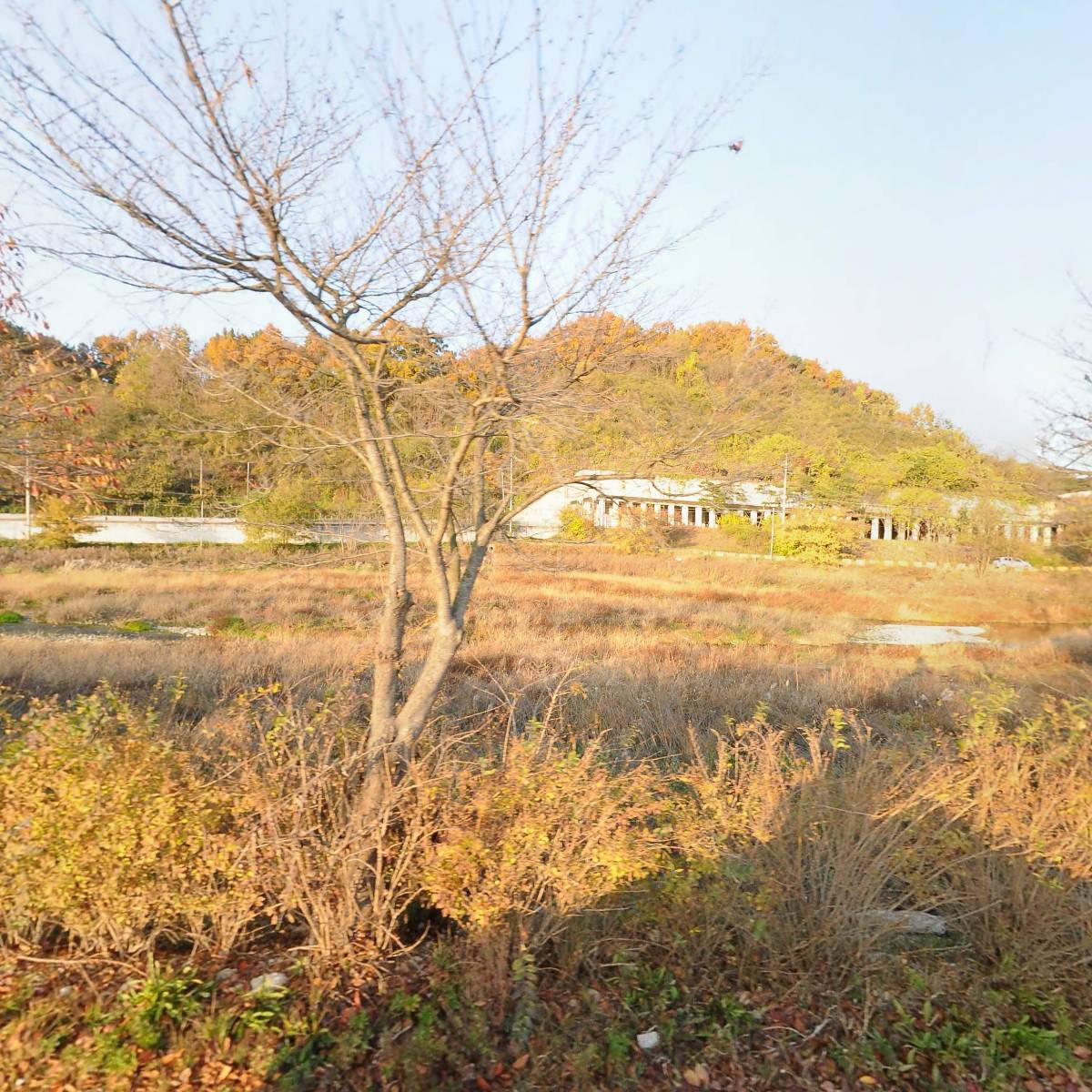 금산허브바이오주식회사