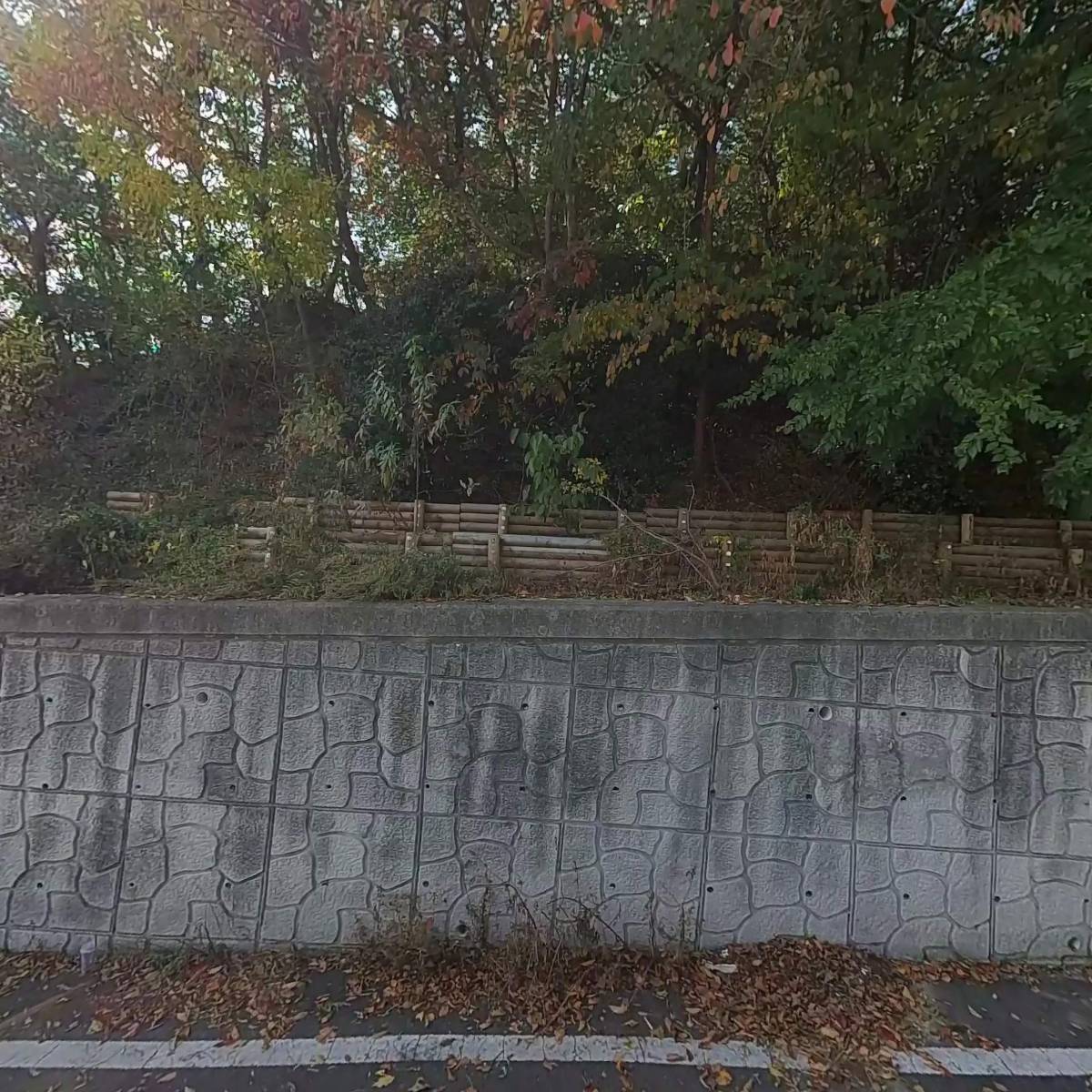 탁골농장