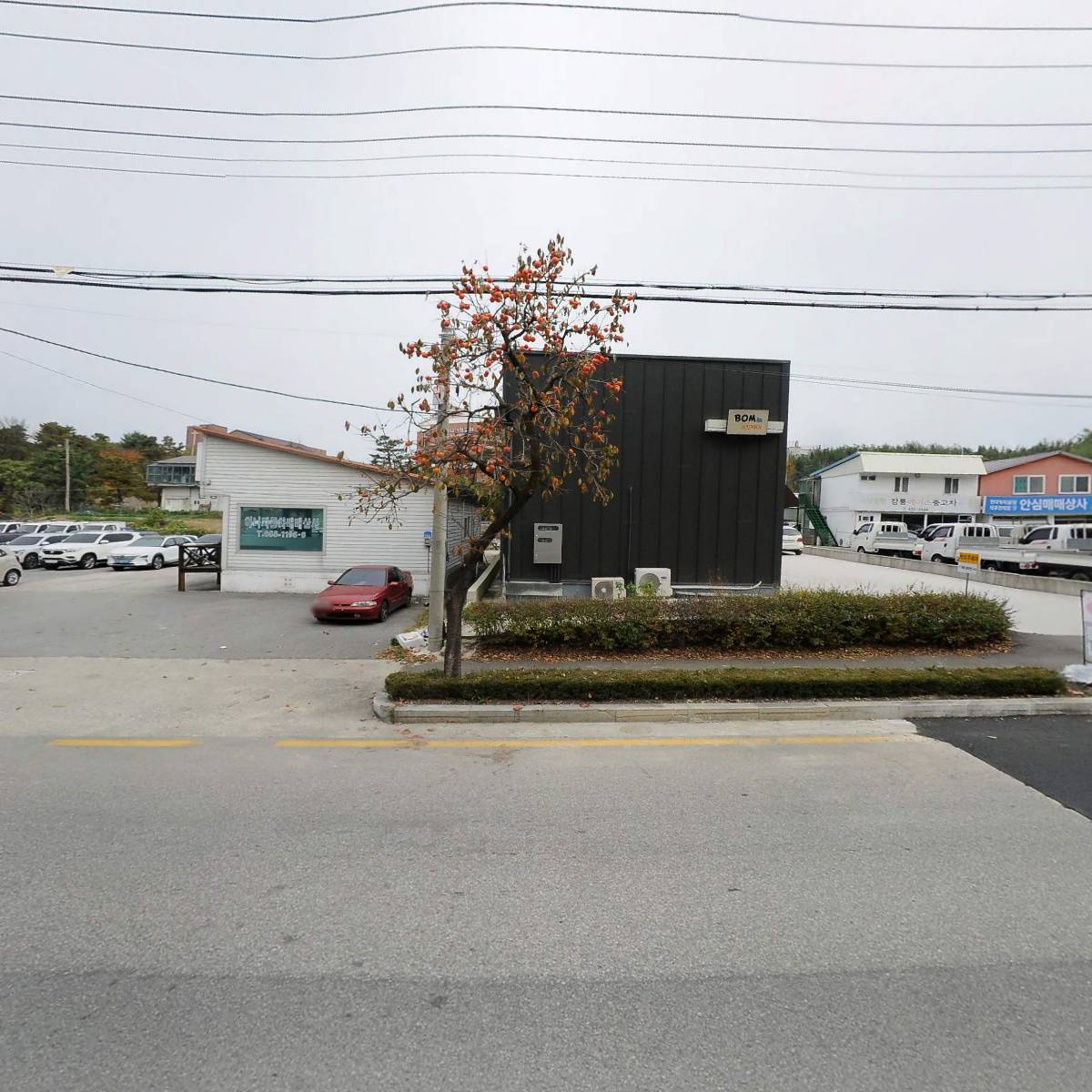 위 상담 연구소