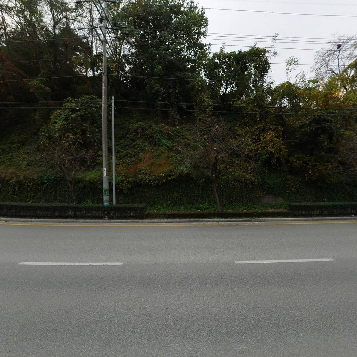 위 상담 연구소_3