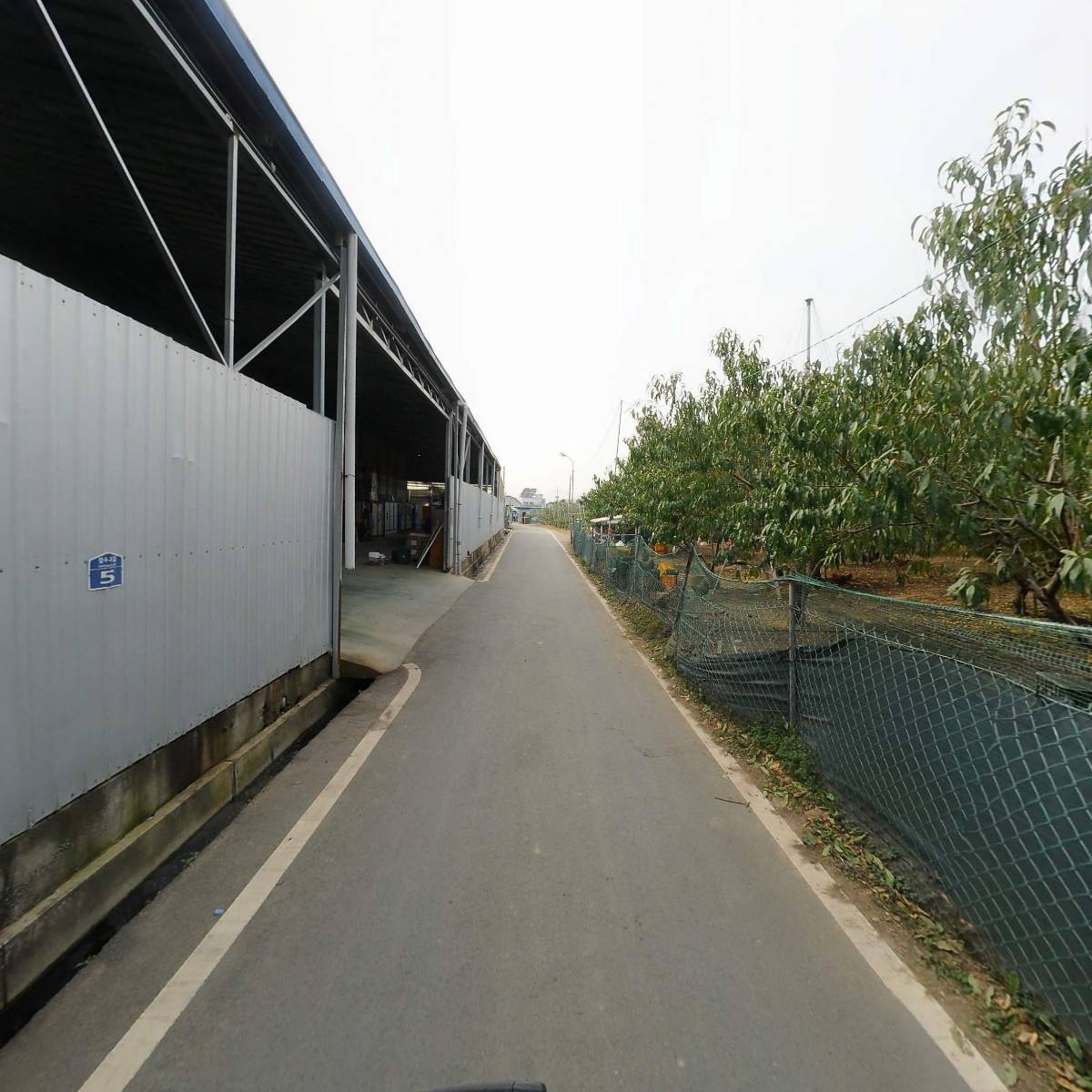 대농농산영농조합법인_2