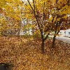 주식회사 고우니