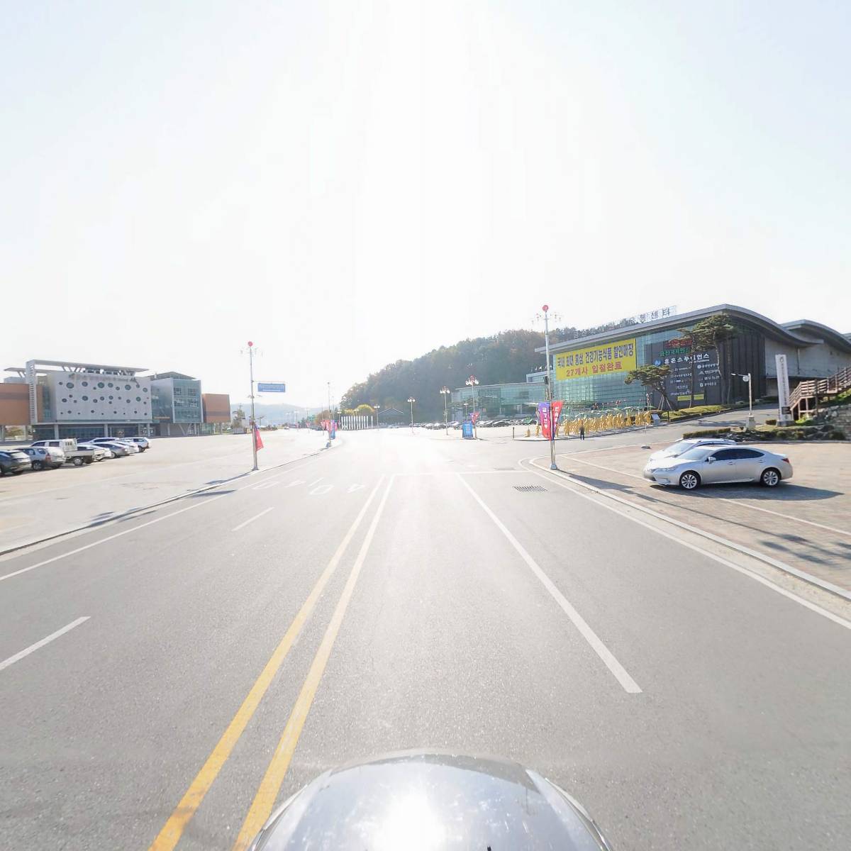 인영홍삼_4