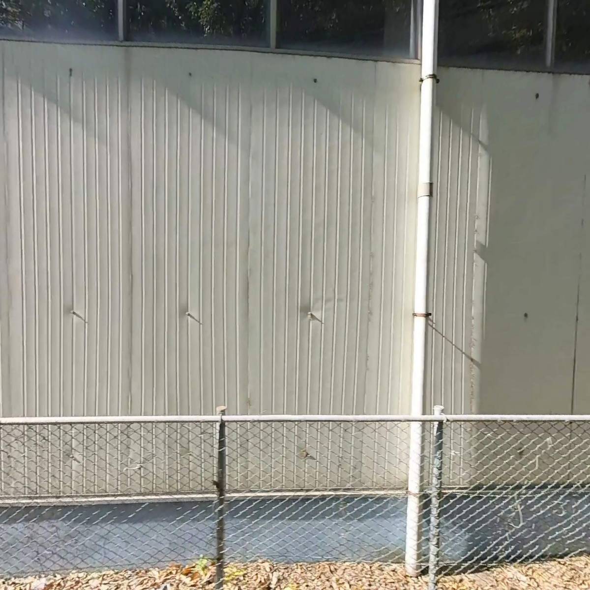 (합명)태양체인본부