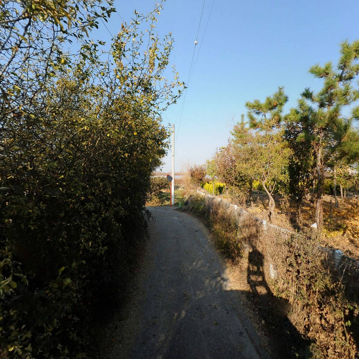 경산사료상사_2
