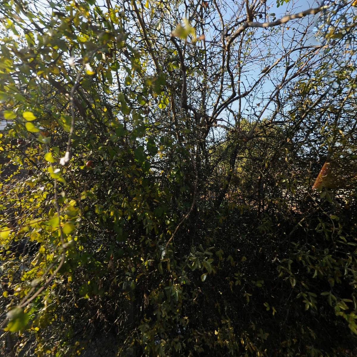 경산사료상사
