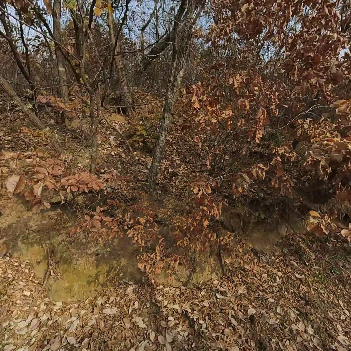푸름발달.상담센터