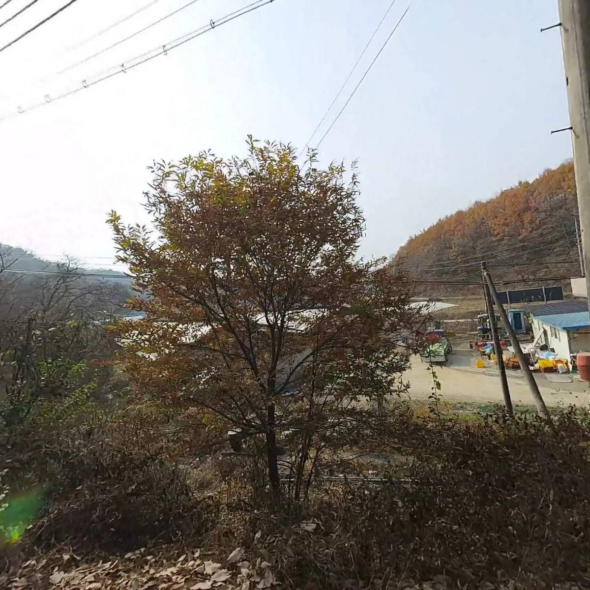 푸름발달.상담센터_3