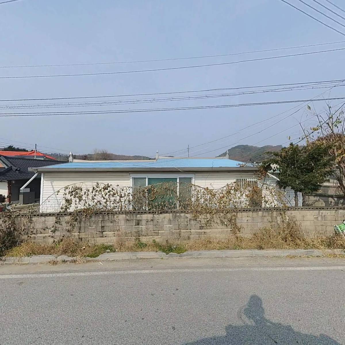 아리하리_3
