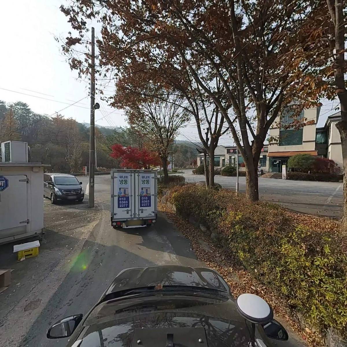 한국산양산삼_4