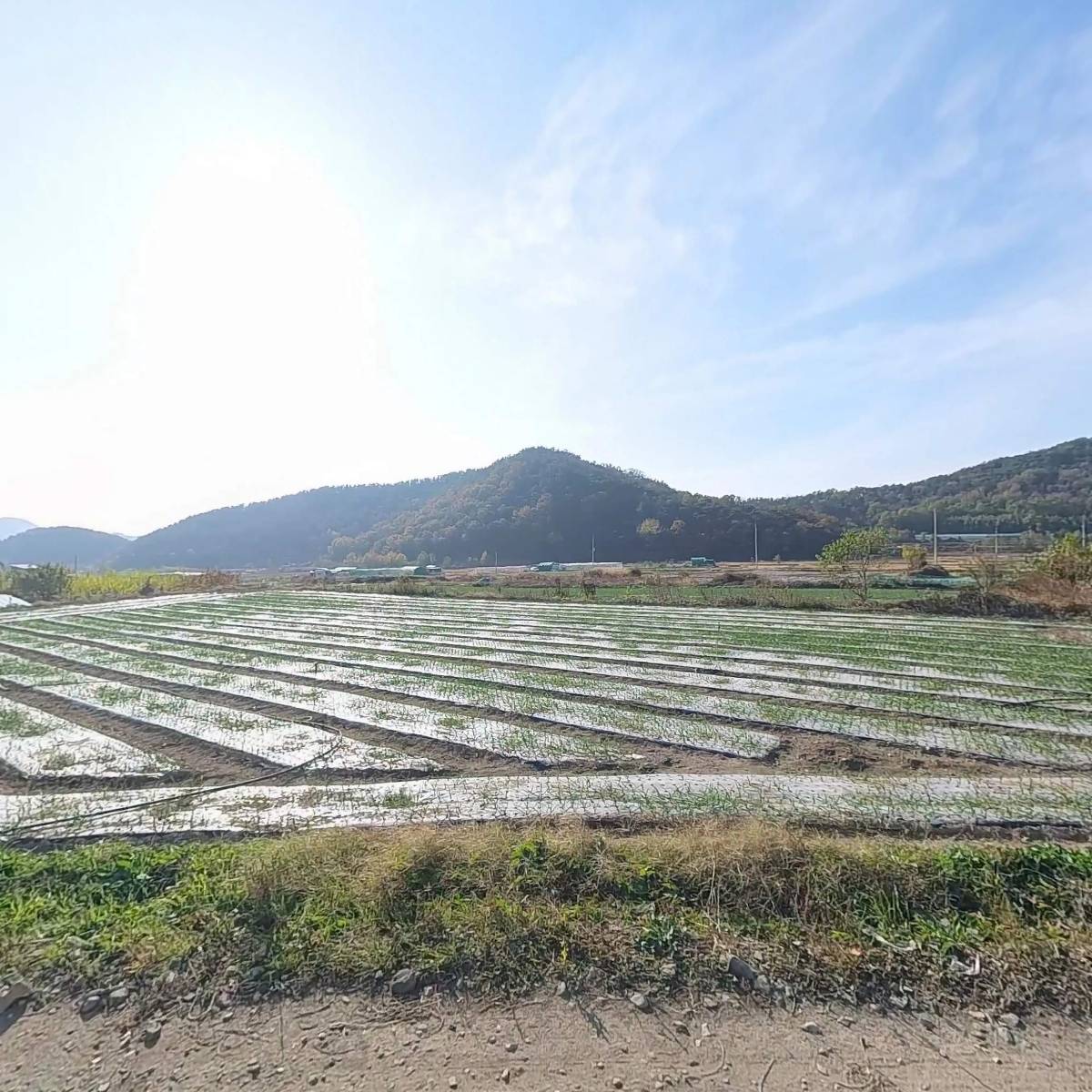 일산수지