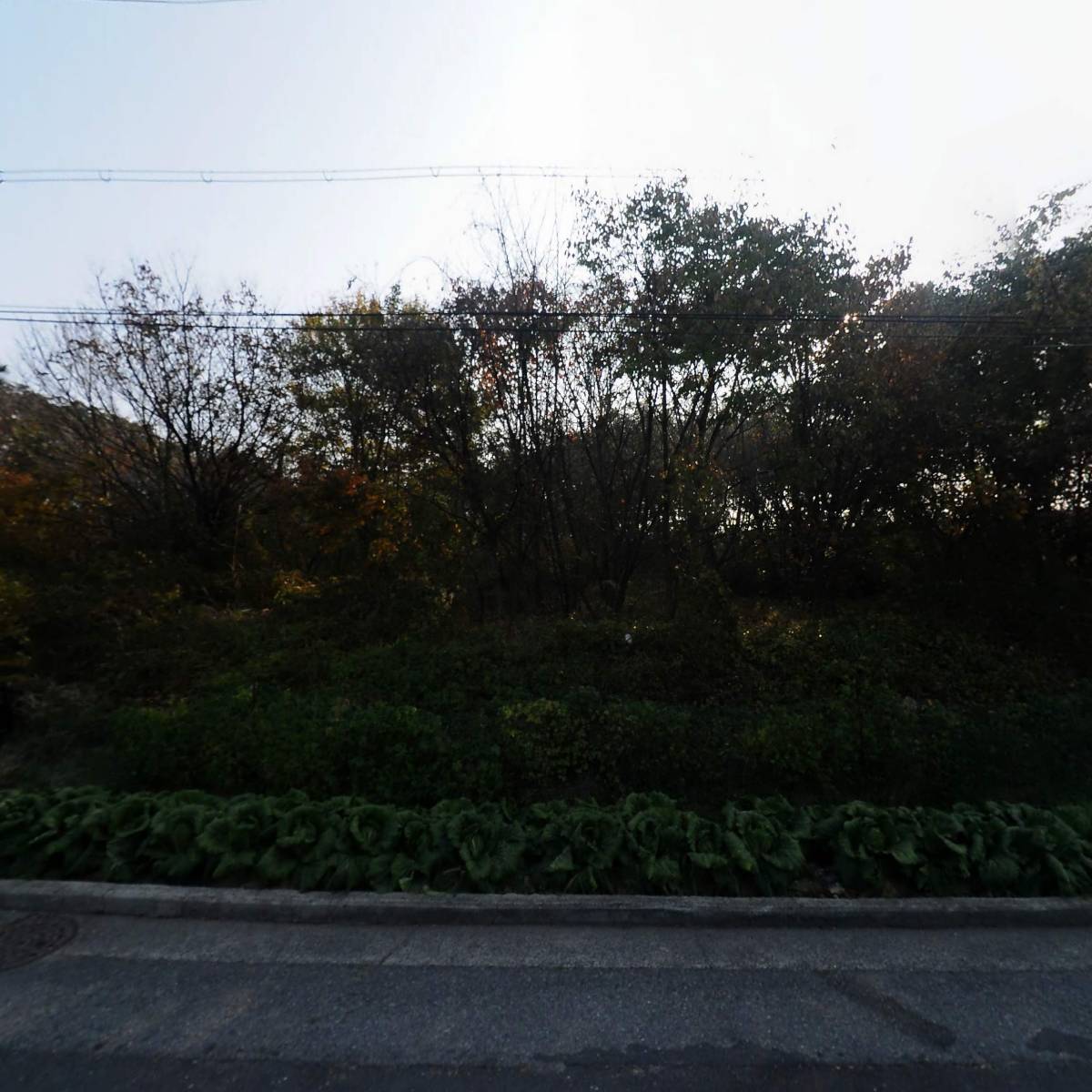 김가네전통사골수제비_3