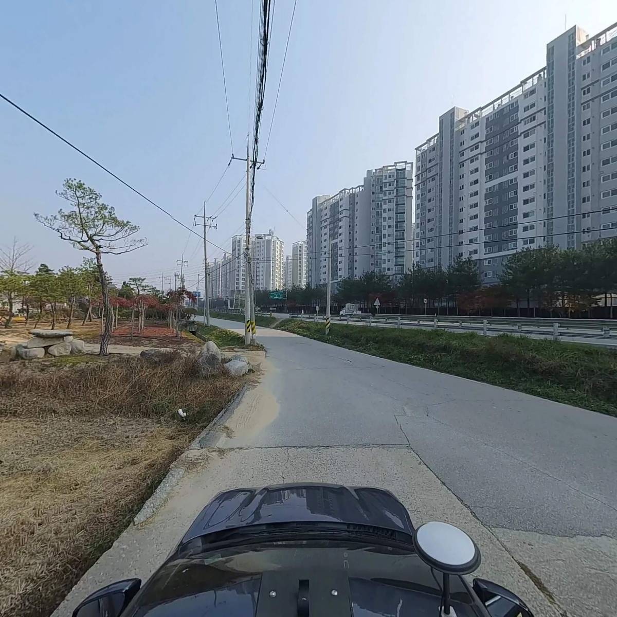 옻내음_4