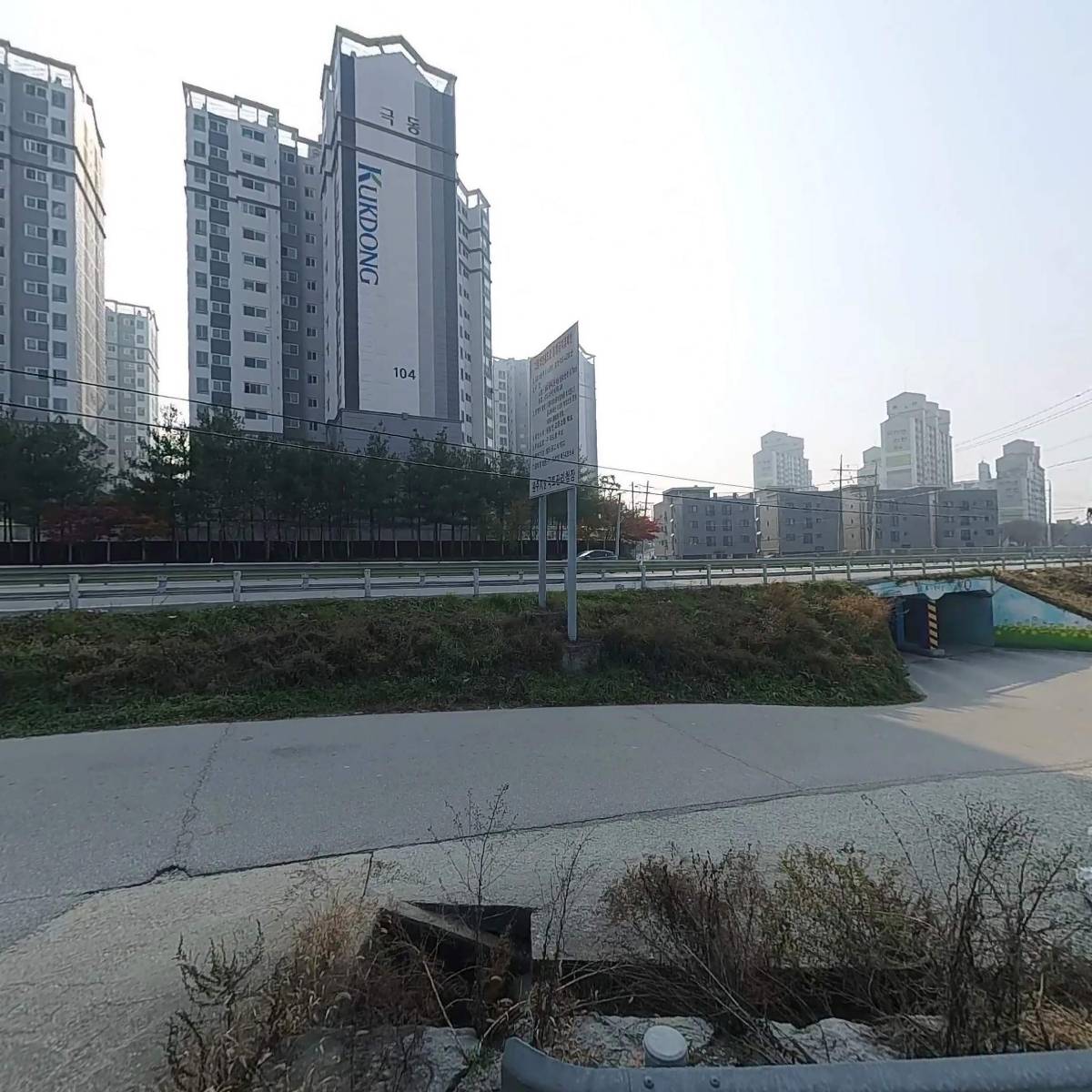옻내음