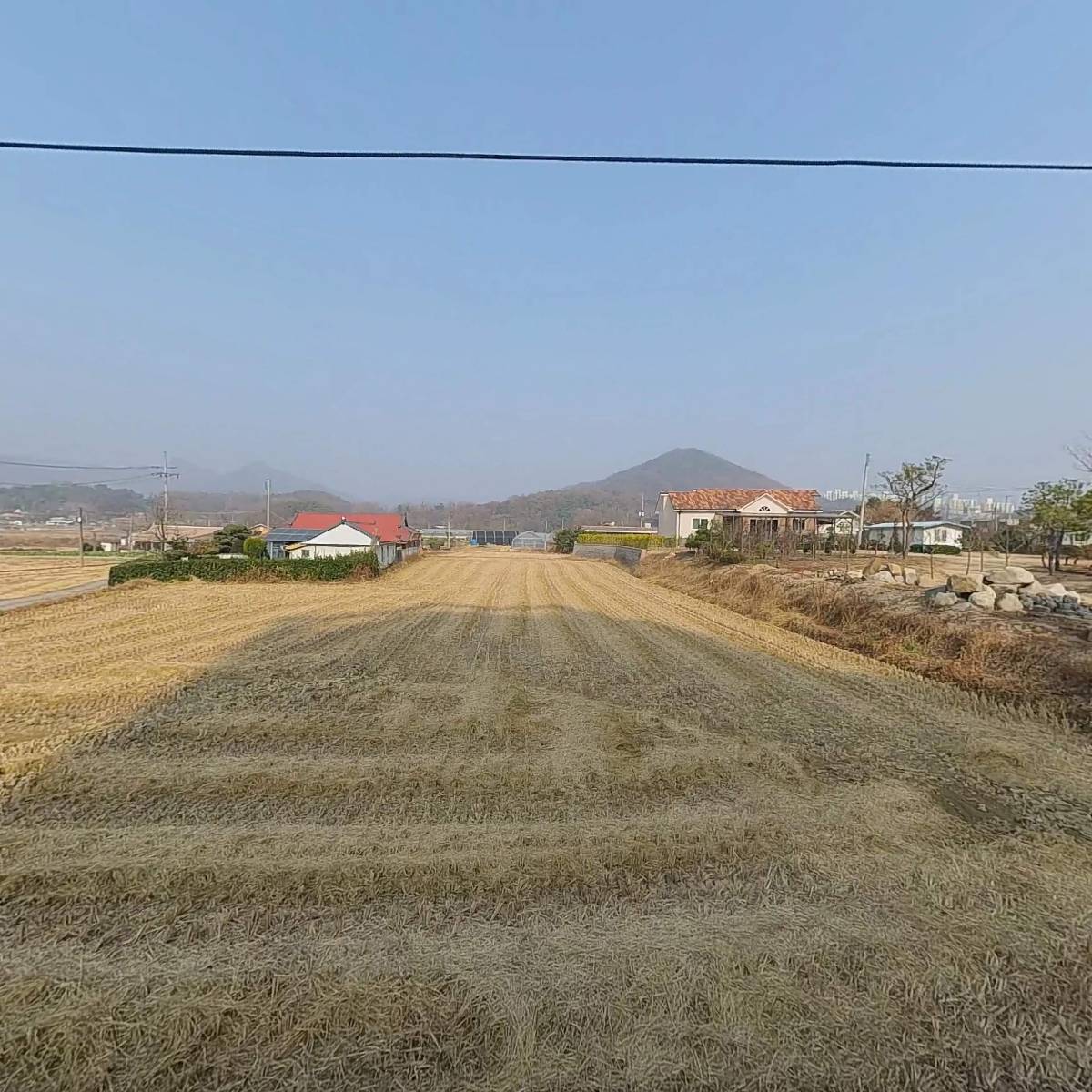 옻내음_3
