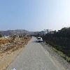 비바_2