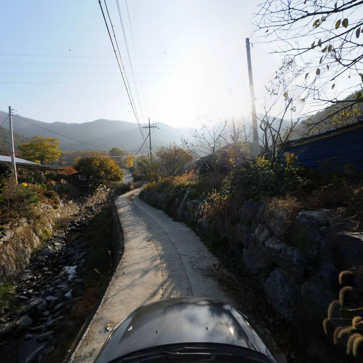보령 양봉_4