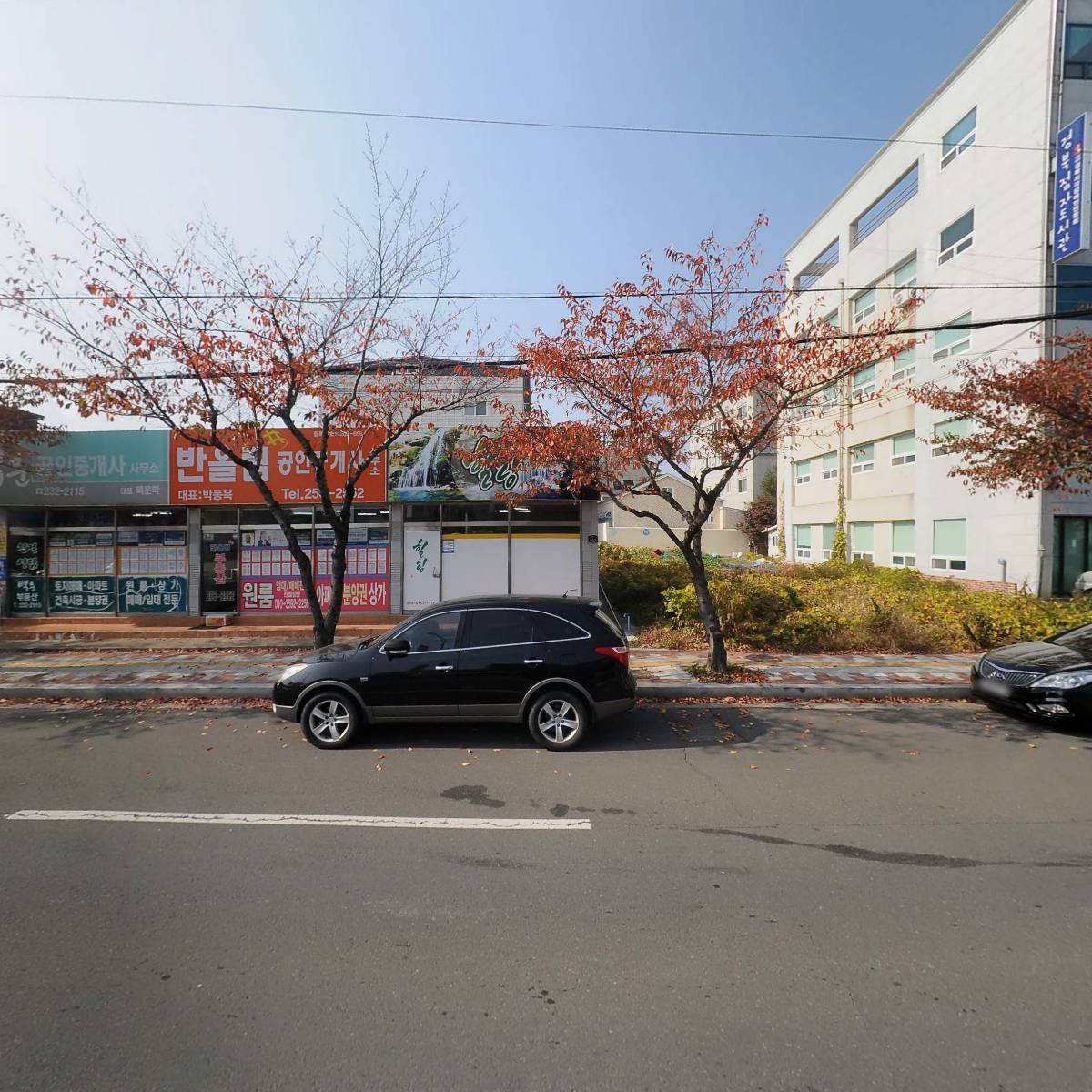 울릉도 잠자리투어_3