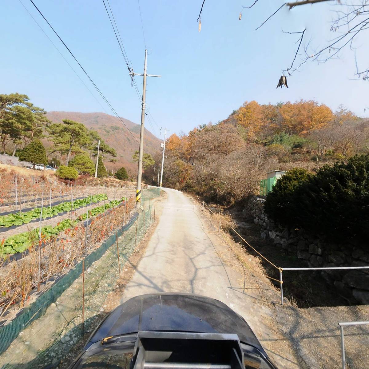 웅지농장_4