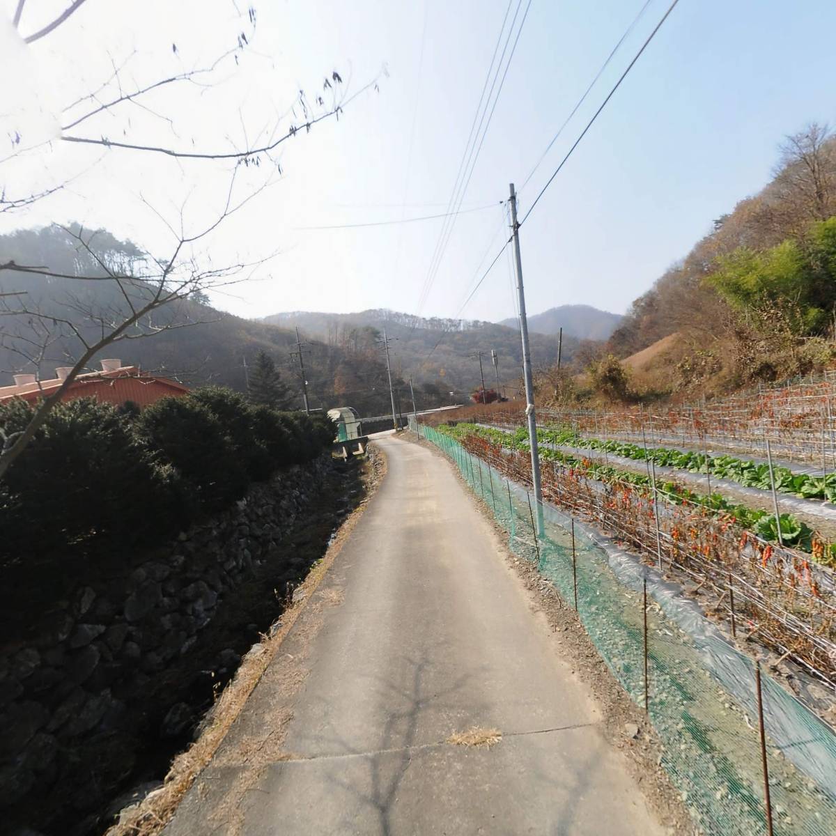 웅지농장_2