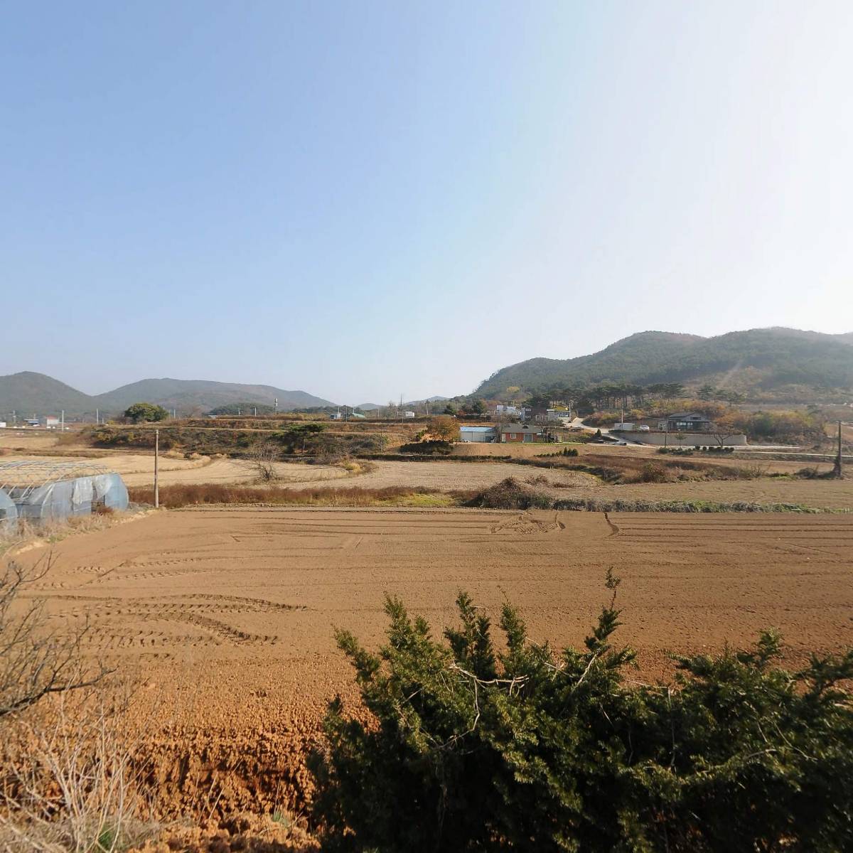 낙농헬퍼_3
