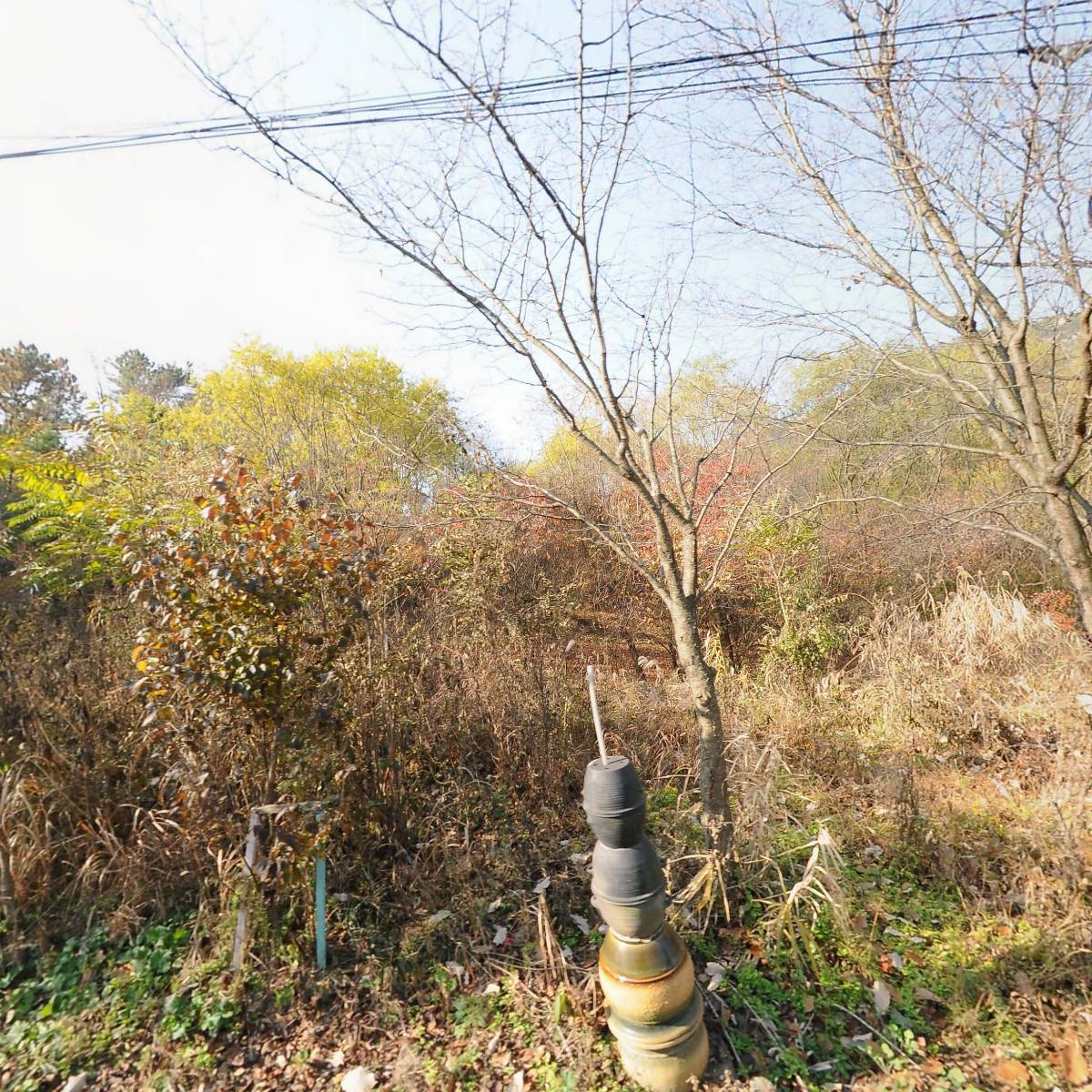 농업회사법인시골마당농산물유통센터(주)