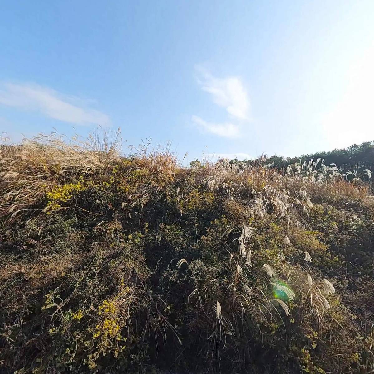 상경산업_3