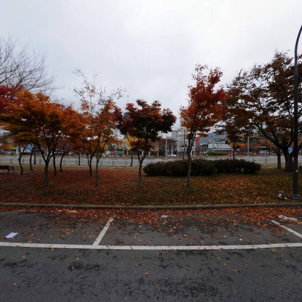 복숭솝_3