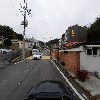 피오니 아트_4