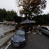 피오니 아트