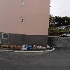 피오니 아트_3