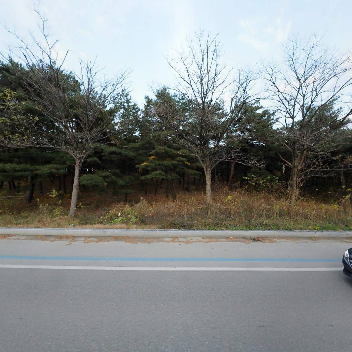 송정용짬뽕