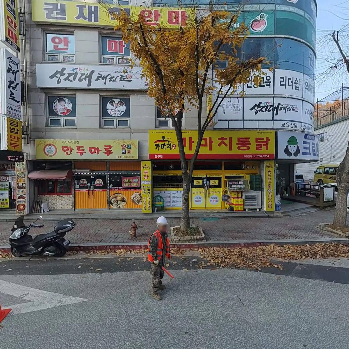 우리집강아지
