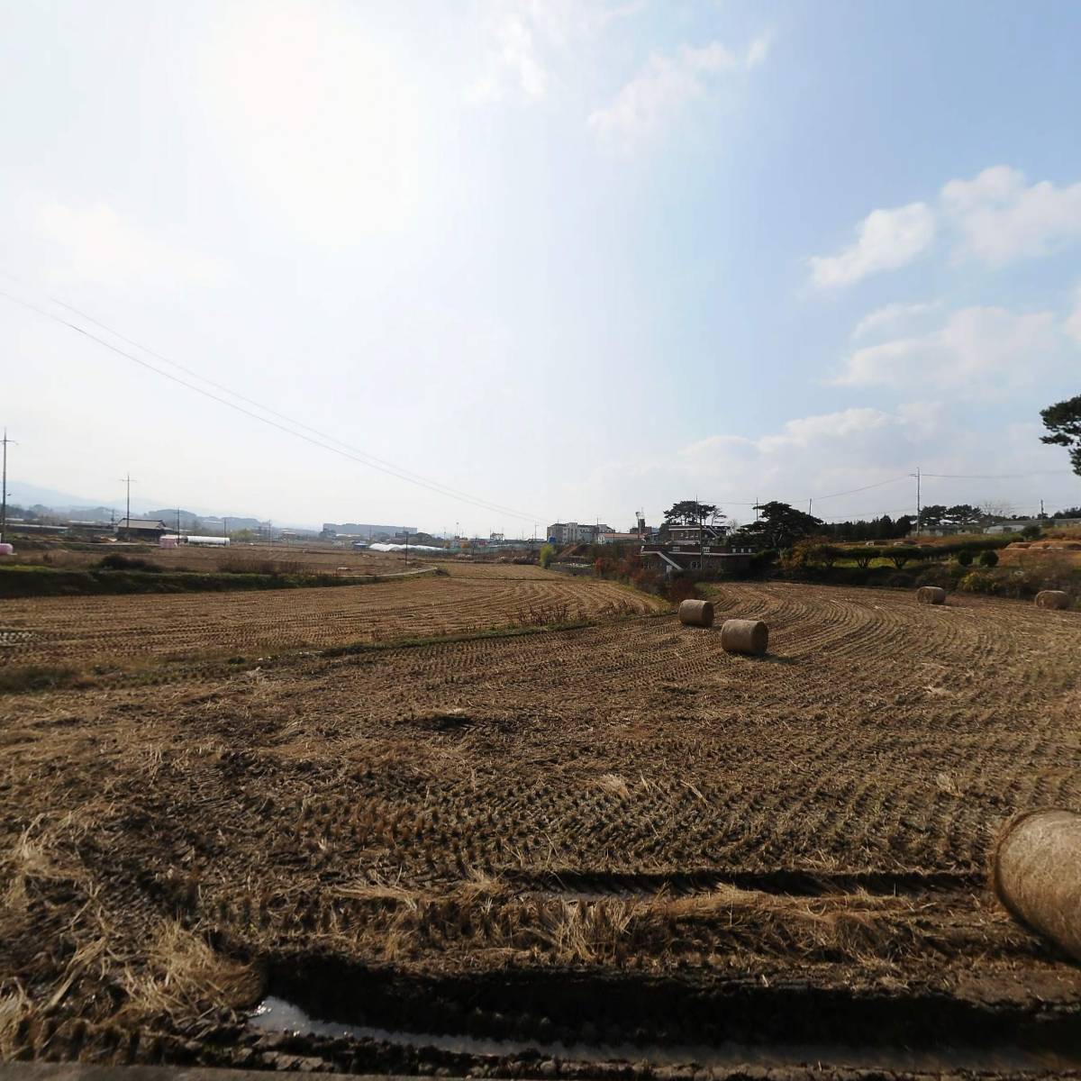 도래바지락죽