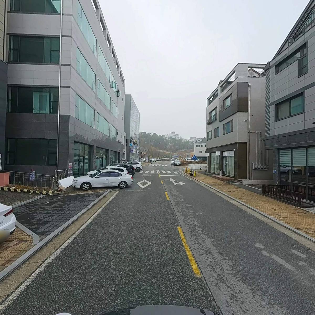 독도해물알찜_2