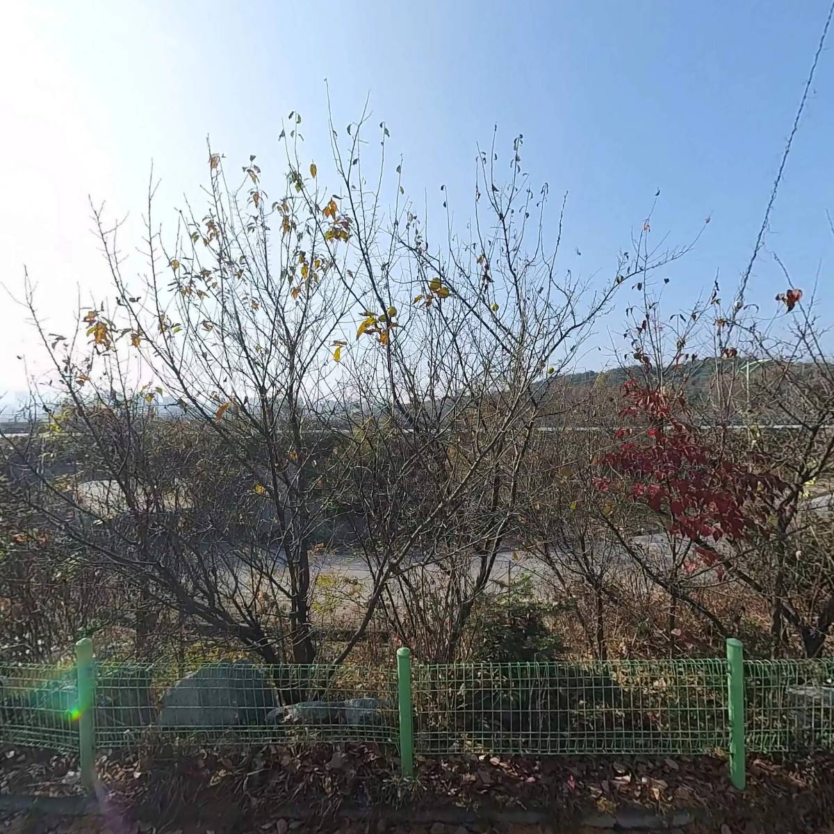 합자회사 쏠 에비뉴
