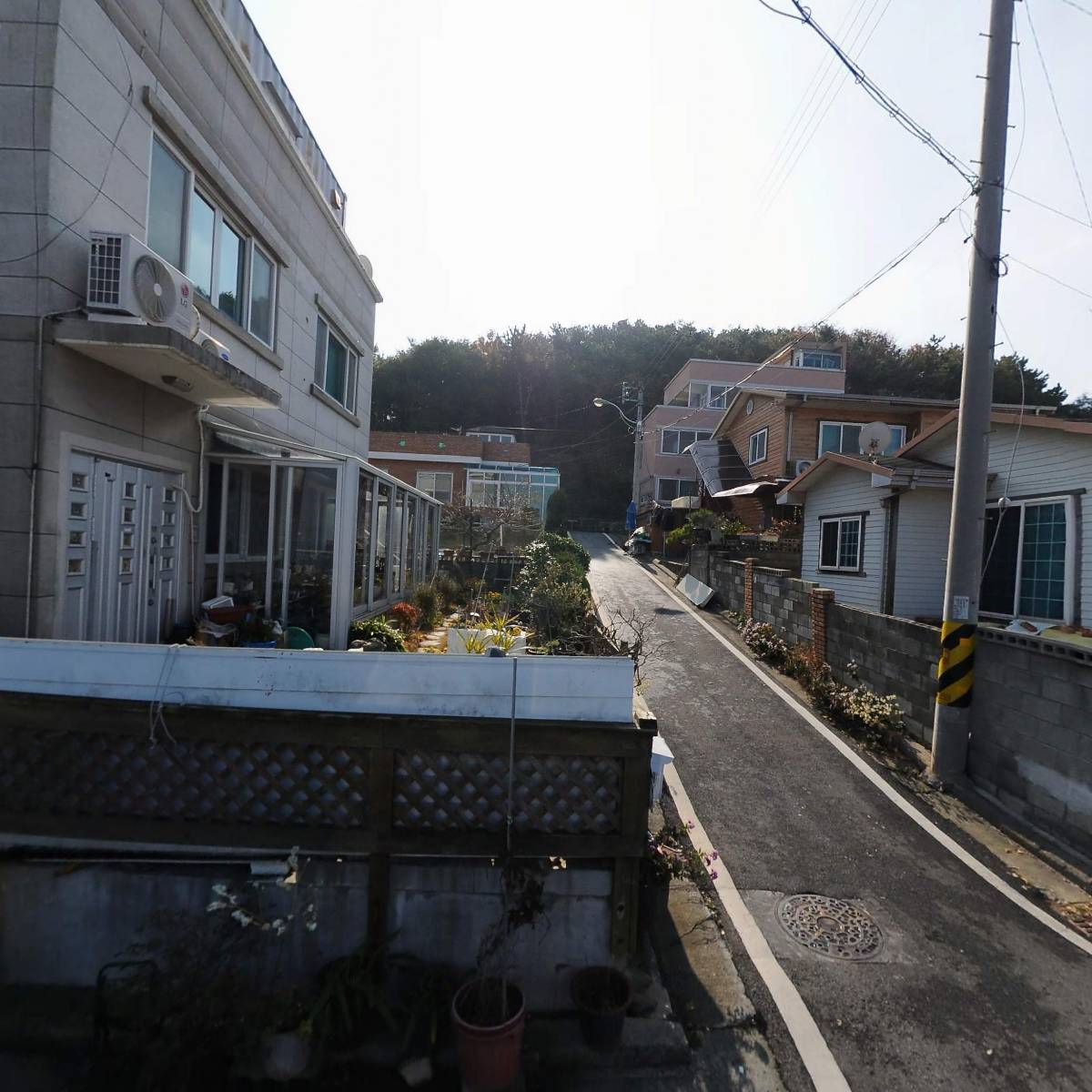 대천바다낚시