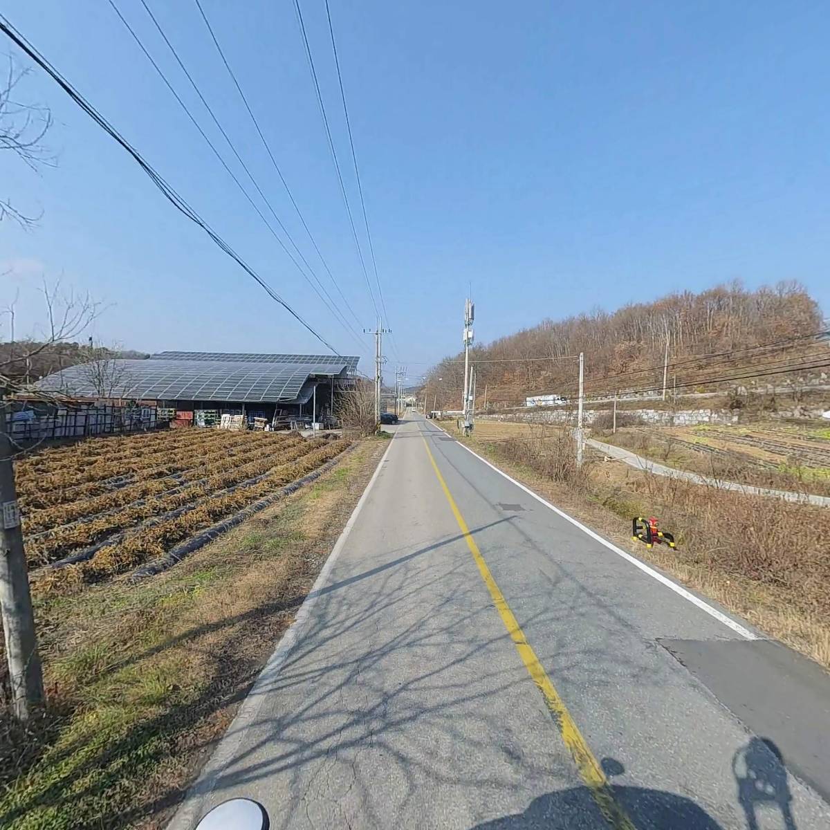 원주치악산산양산삼 농원_2