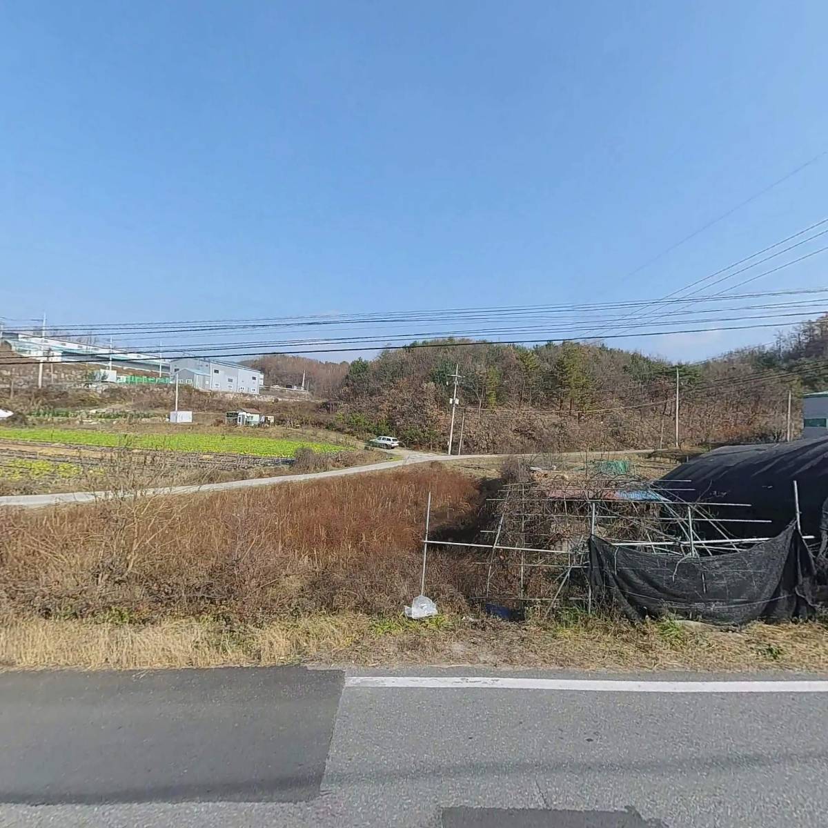 원주치악산산양산삼 농원_3