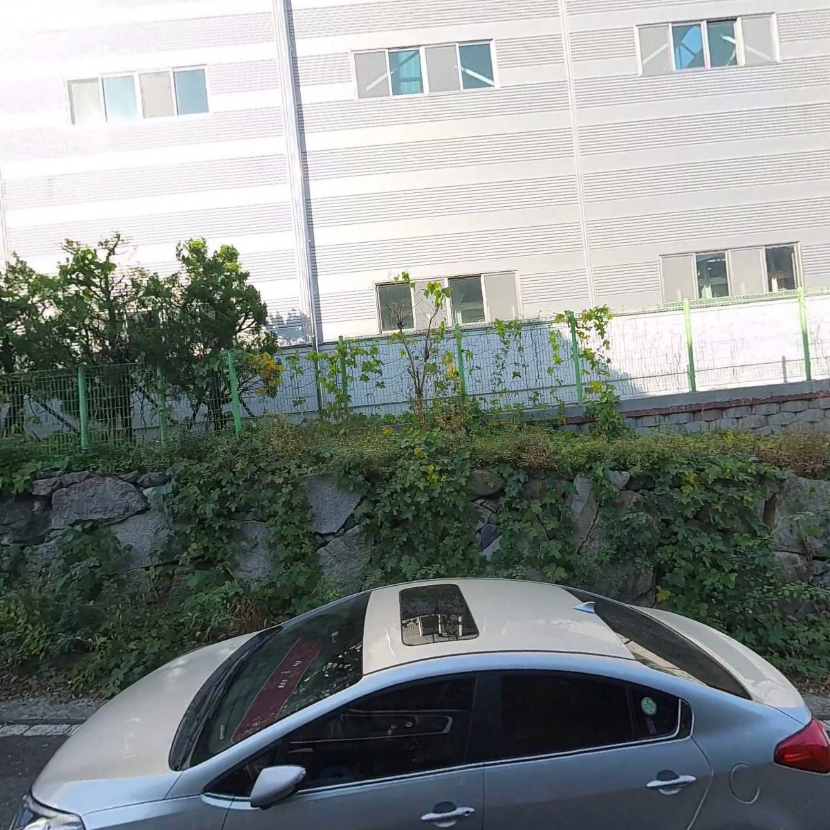 케이엔씨(KNC)