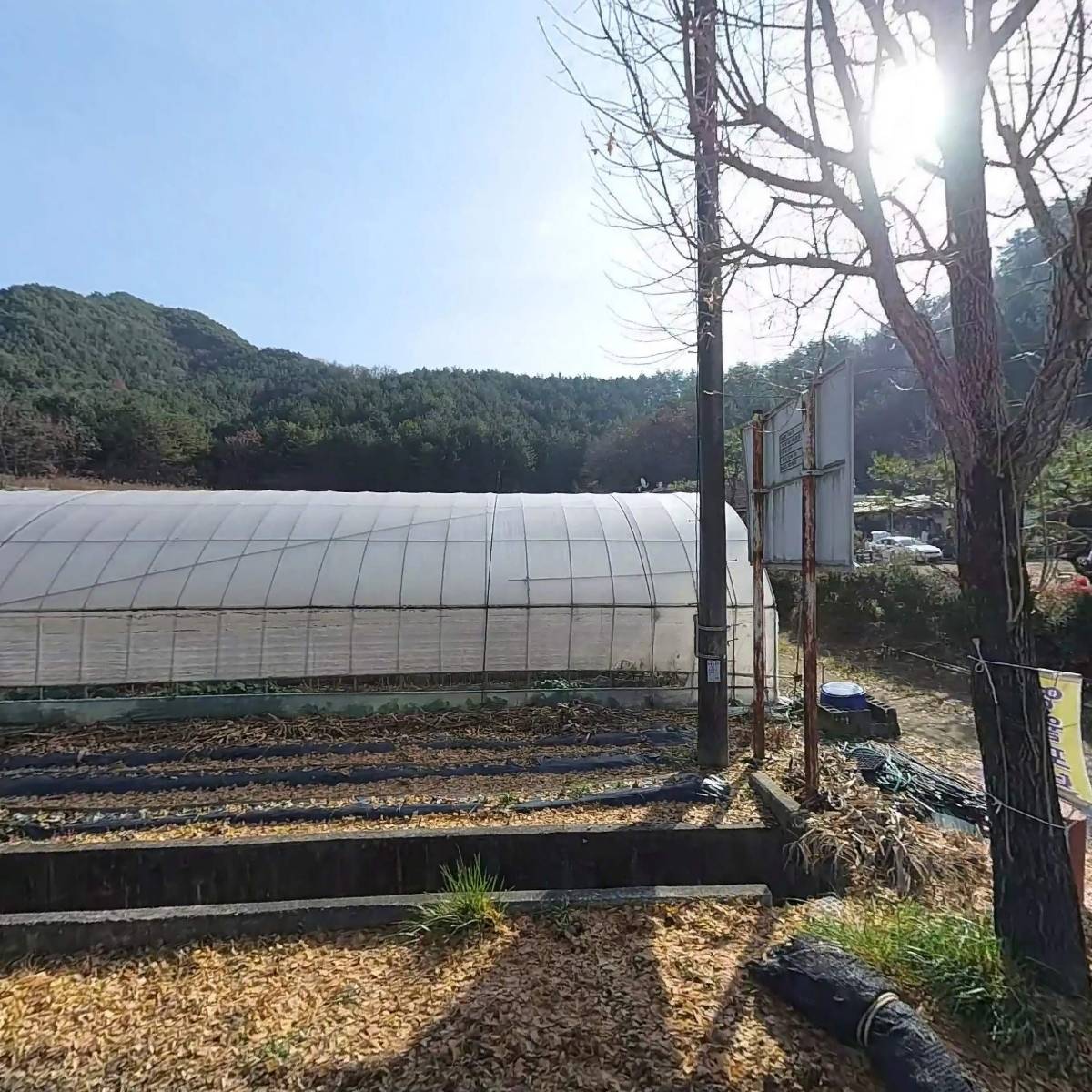감자바우농산물