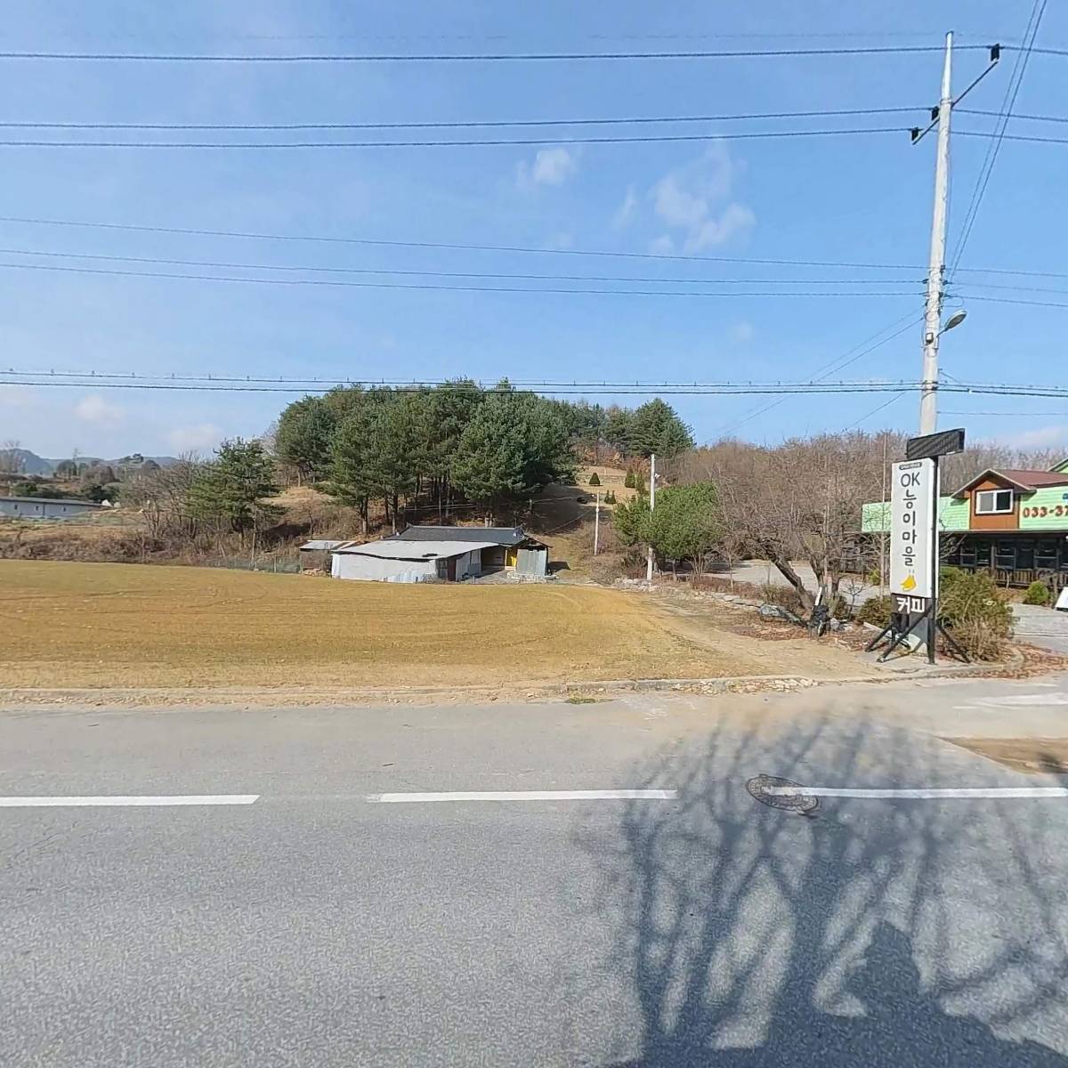 감자바우농산물_3