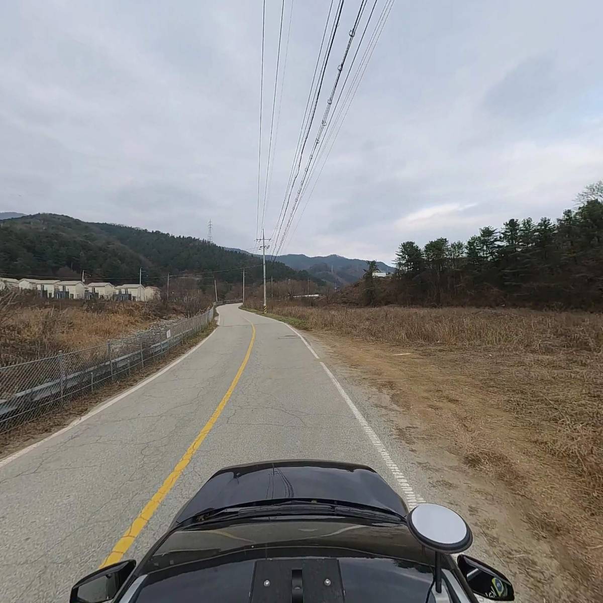 장터동물농장_4